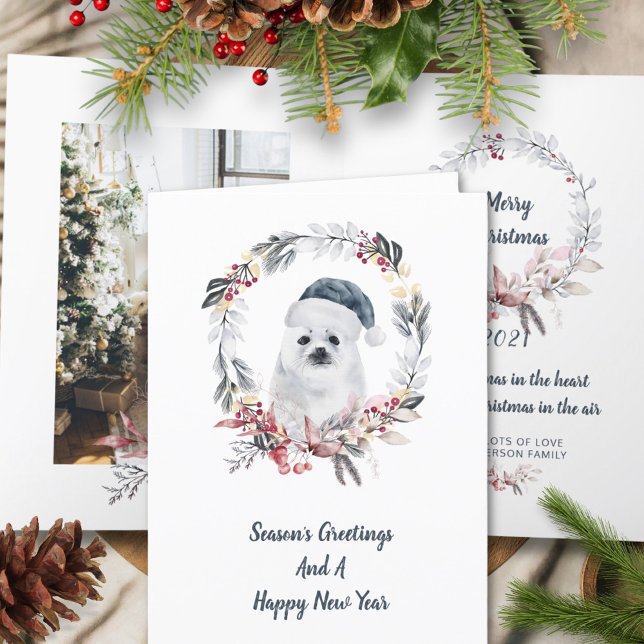 Cozy Baby Seal Watercolor Christmas Photo Holiday Card (Creator Uploaded)