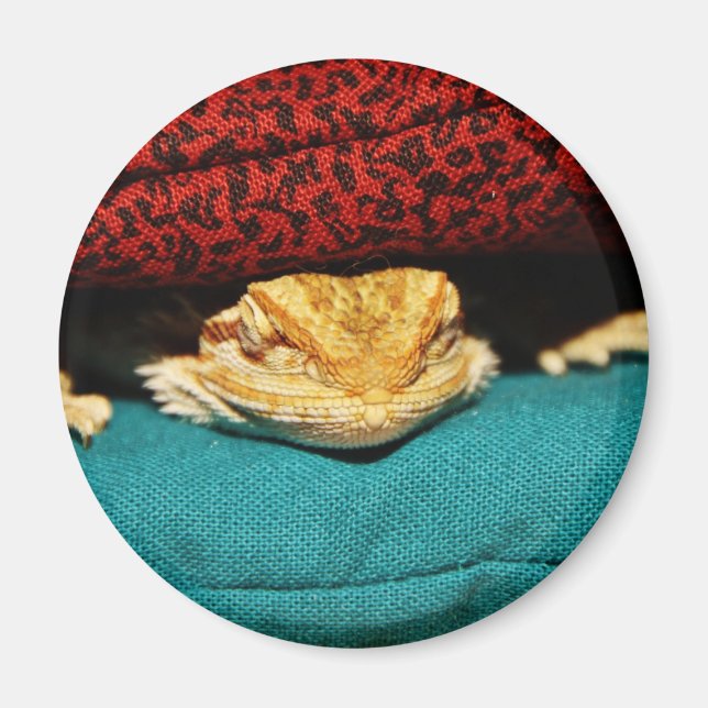 Cozy Bearded Dragon Magnet (Front)