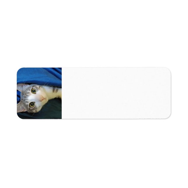 Cozy Bengal Cat Bobby Return Address Label (Front)