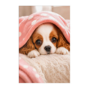 Cozy Blanket Puppy Cavalier King Charles Spaniel Acrylic Print