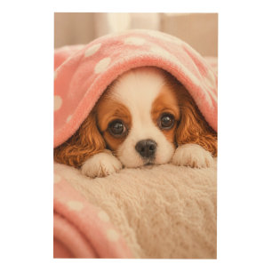 Cozy Blanket Puppy Cavalier King Charles Spaniel Wood Wall Art