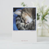 Cozy Cats (Standing Front)