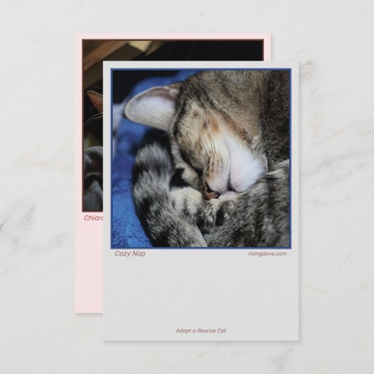 Cozy Cats (Front/Back)