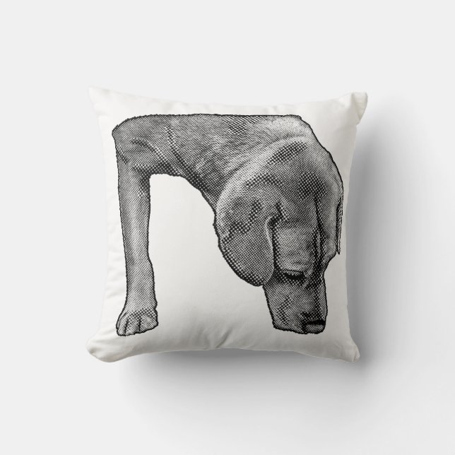 Cozy Chair, Dotty Scout Throw Pillow (Front)