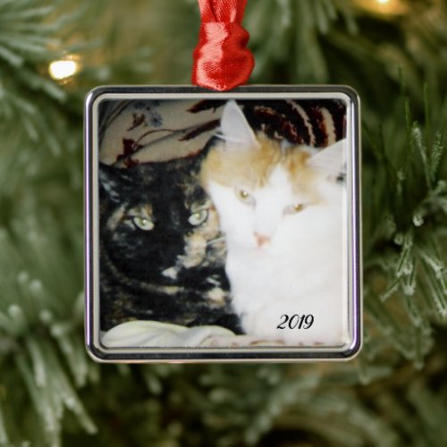 Cozy Cheek to Cheek Cats Photo with Year Metal Ornament