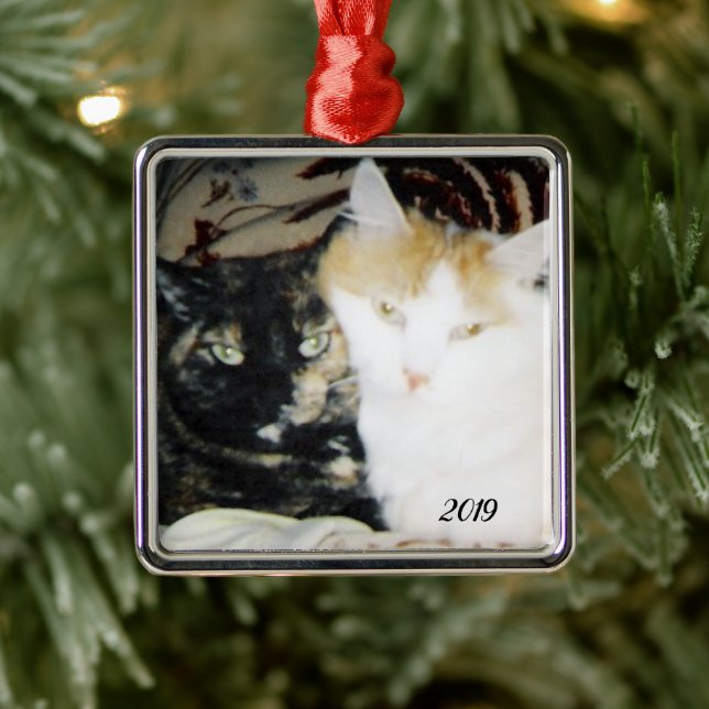 Cozy Cheek to Cheek Cats Photo with Year Metal Ornament (Tree)
