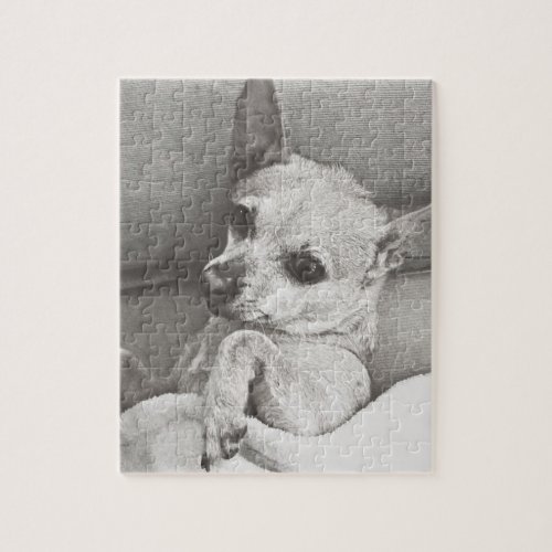 Cozy Chihuahua Puzzle