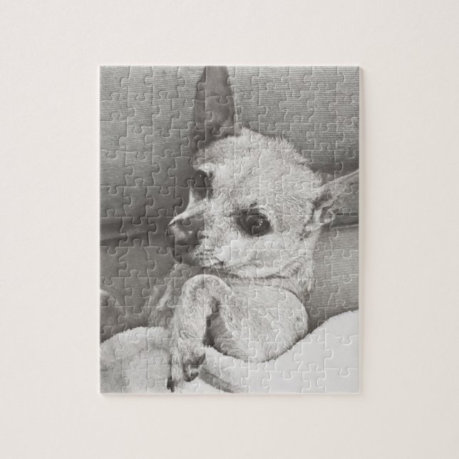 Cozy Chihuahua Puzzle (Vertical)