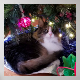 Cozy Christmas cat under tree Poster