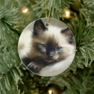 Cozy Companion Siamese Kitten Ceramic Ornament