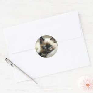 Cozy Companion Siamese Kitten Classic Round Sticker