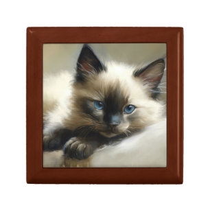 Cozy Companion Siamese Kitten Gift Box