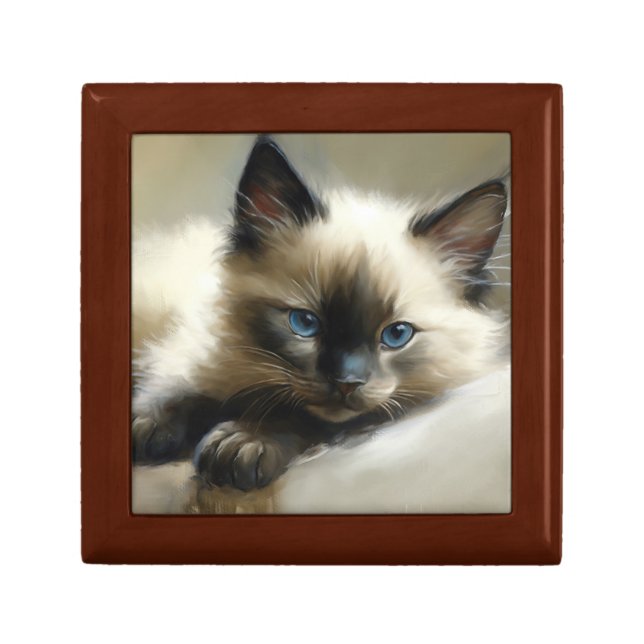 Cozy Companion Siamese Kitten Gift Box (Front)