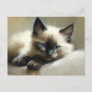 Cozy Companion Siamese Kitten Postcard