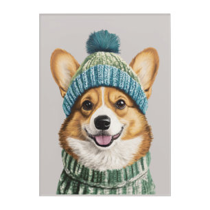 Cozy Corgi in Winter Gear Acrylic Print