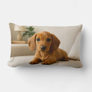 Cozy Dachshund  Lumbar Pillow
