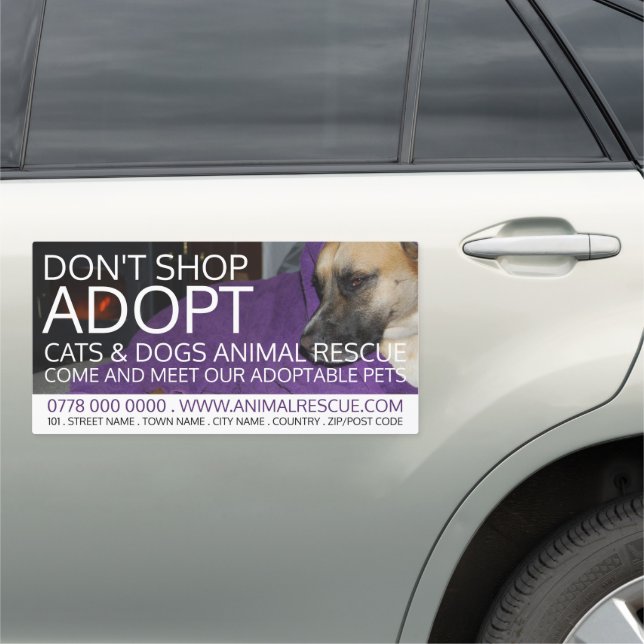 Cozy Dog, Pet Adoption Advertising Car Magnet (In Situ)