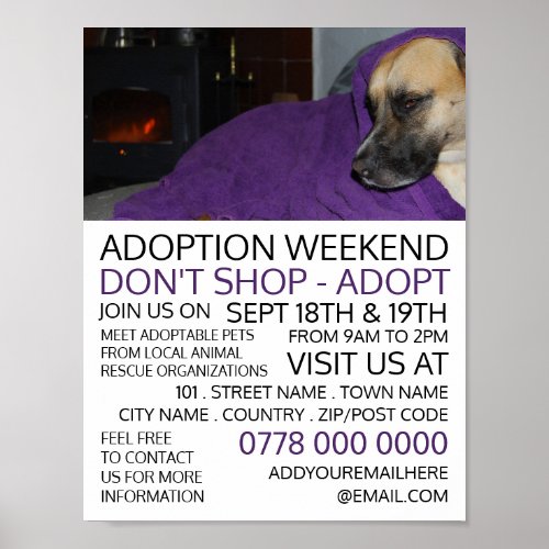 Cozy Dog Pet Adoption Event Advertising Poster