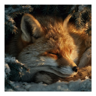 Cozy Fox in Snow Poster