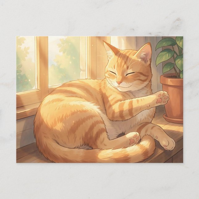 Cozy Ginger Tabby Cat Sunbathing  Postcard (Front)