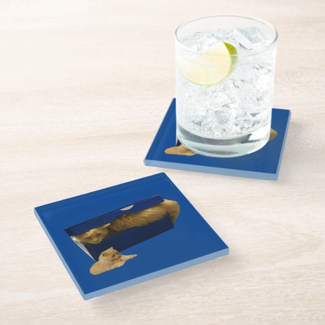 "Cozy Hideaway: The Ginger Cat in the Shoe Box" Glass Coaster (Angled)