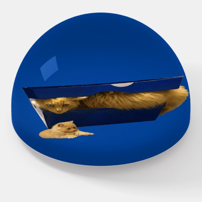 "Cozy Hideaway: The Ginger Cat in the Shoe Box" Paperweight (Angled)