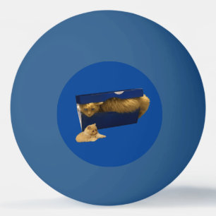"Cozy Hideaway: The Ginger Cat in the Shoe Box" Ping Pong Ball