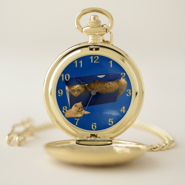"Cozy Hideaway: The Ginger Cat in the Shoe Box" Pocket Watch (Inside)