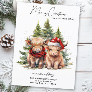 Cozy Highland Cow New Address Merry Christmas  Holiday Postcard