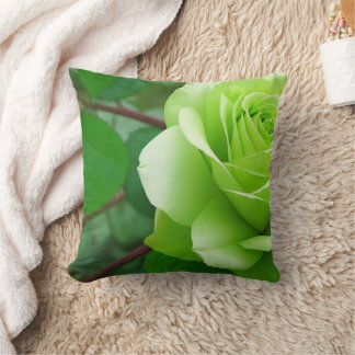 Cozy Home Decor Pillow with Floral Wreath Design