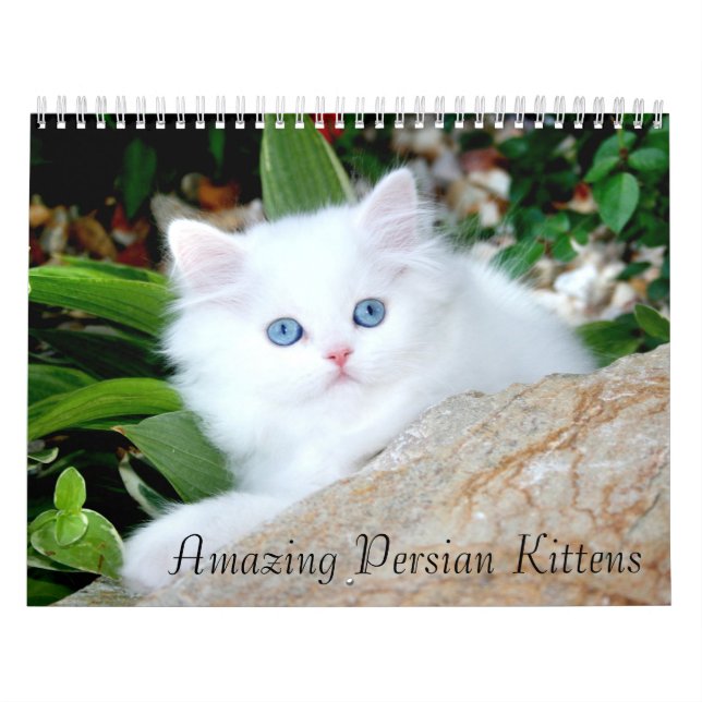 Cozy Kittens Calendar (Cover)