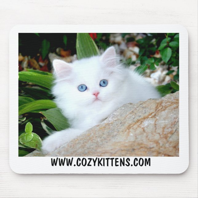 Cozy Kittens Heaven On Earth Mouse Pad (Front)