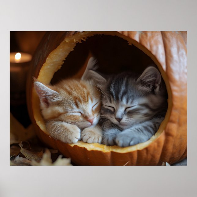 Cozy Kittens Snuggle in a Pumpkin Poster (Front)
