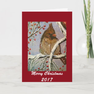 Cozy Little Cardinal Greeting Card