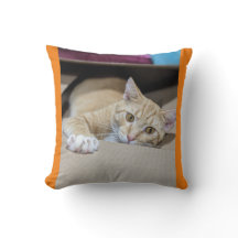 "Cozy Orange Tabby Cat Pillow – Warm Feline Charm