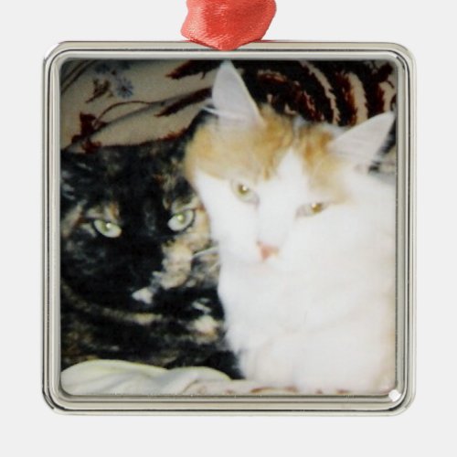Cozy Photo of Two Cats Posed Cheek to Cheek Metal Ornament