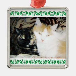 Cozy Photo Two Cats Green Holly Border Metal Ornament