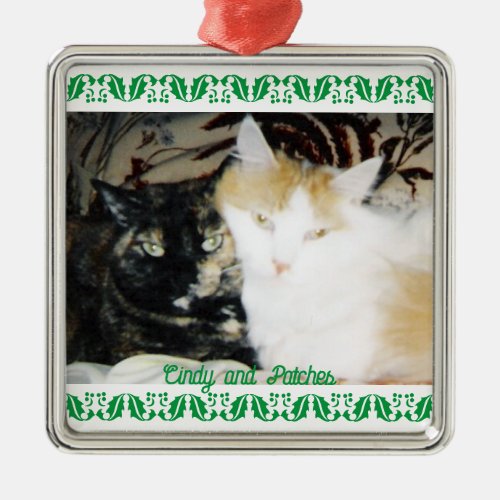 Cozy Photo Two Cats with Names Green Holly Border  Metal Ornament