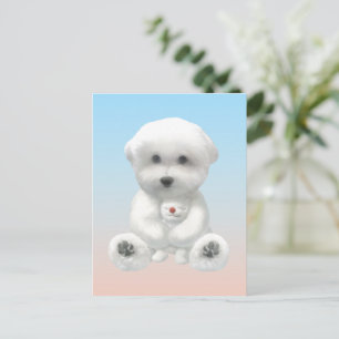 Cozy Plush Moment: Smiling Bichon Hugging Mini Pup Announcement Postcard
