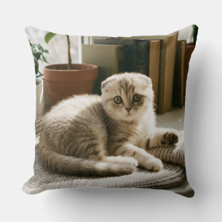 Cozy Scottish Fold Cat Throw Pillow