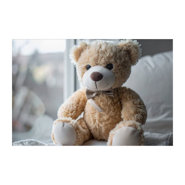 Cozy Sitting Teddy Bear Acrylic Print (Front)