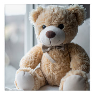 Cozy Sitting Teddy Bear Acrylic Print