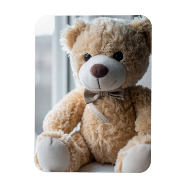 Cozy Sitting Teddy Bear Magnet (Vertical)