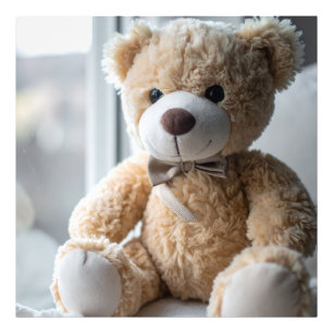 Cozy Sitting Teddy Bear Photo Print