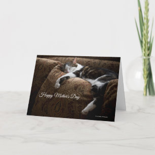 Cozy Sleeping Buddy Cat Mother's Day Card