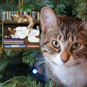 Cozy Sleeping Cats Bookshelf Illustration Cute Ceramic Ornament