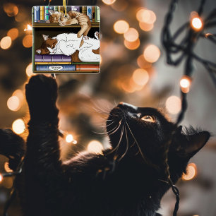 Cozy Sleeping Cats Bookshelf Illustration Cute Ceramic Ornament