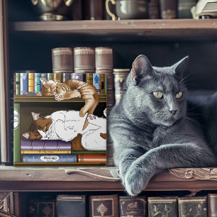 Cozy Sleeping Cats Bookshelf Illustration Cute Tile