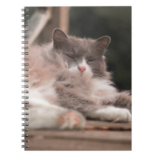 Cozy Sleeping Fluffy Cat Notebook