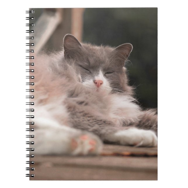 Cozy Sleeping Fluffy Cat Notebook (Front)